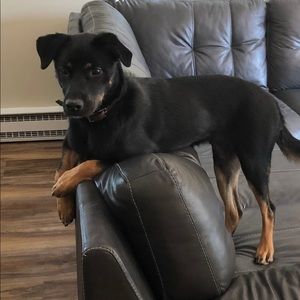 Meet your Posher, Chris